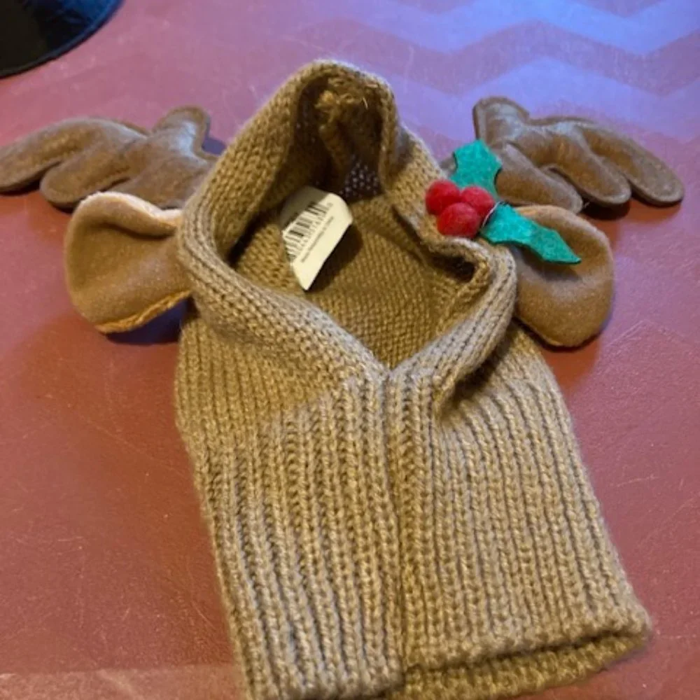 Cat hats